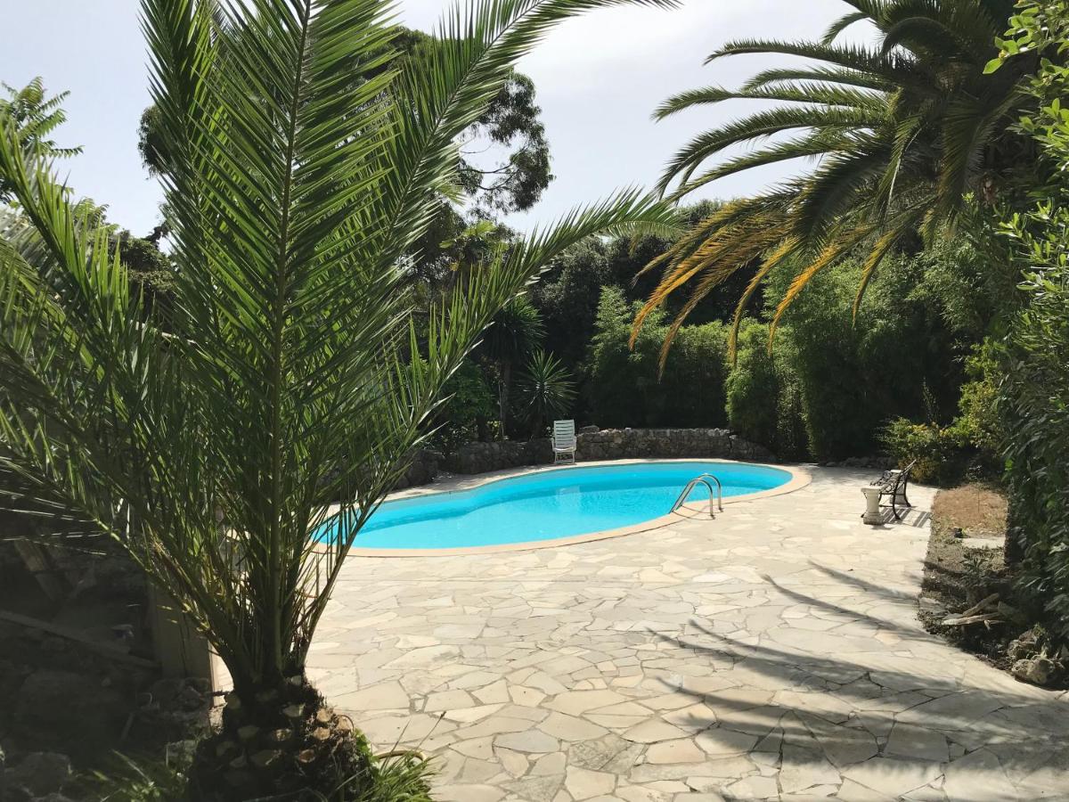 Independent One Bedroom Apartment Antibes Ngoại thất bức ảnh